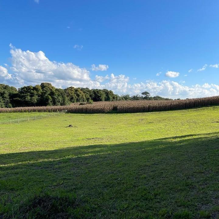 S�tio / Ch�cara para Venda, em Campo Alegre, bairro Am�rica